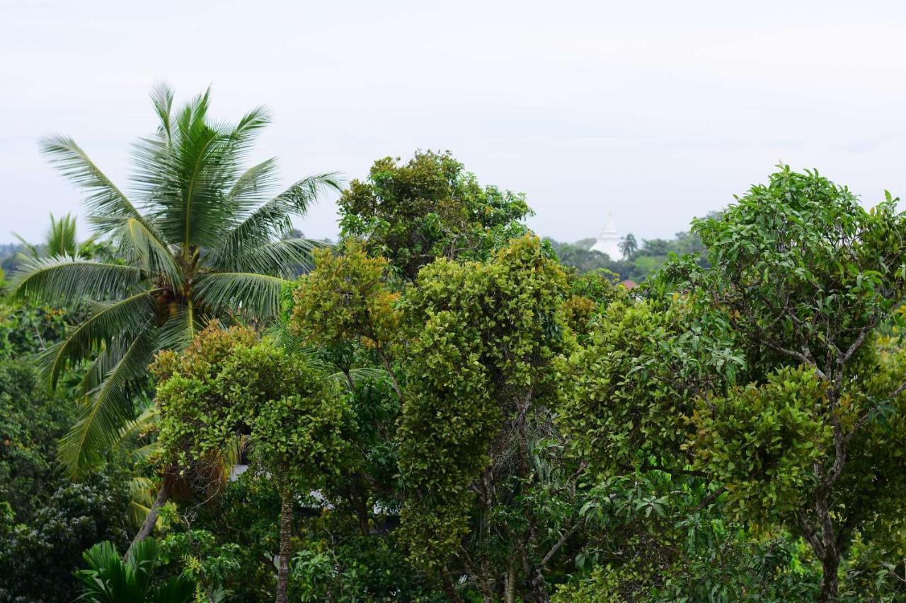 Heritage Eco Resort Kelaniya Екстериор снимка